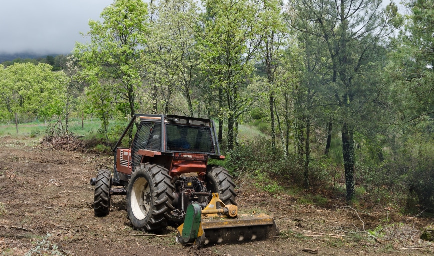 Land Clearing